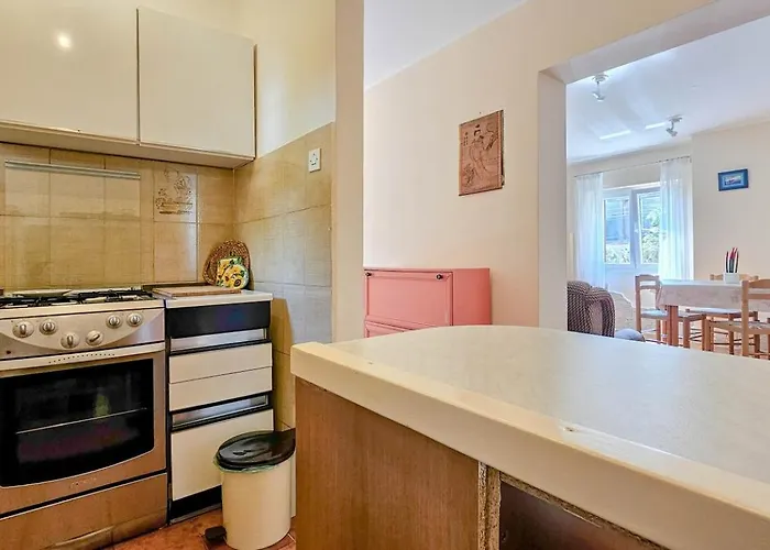 Daire Mesic Novigrad Istria